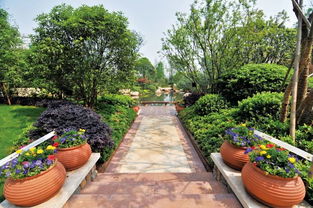 看慣了北方的生態(tài)粗線條 來感受下江南精品園林的畫風(fēng)