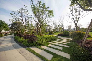 看慣了北方的生態(tài)粗線條 來感受下江南精品園林的畫風