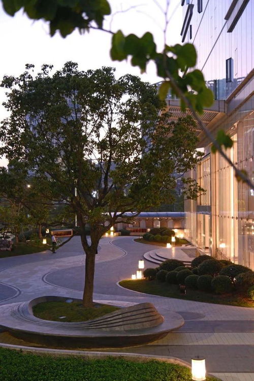 幾何與公共空間