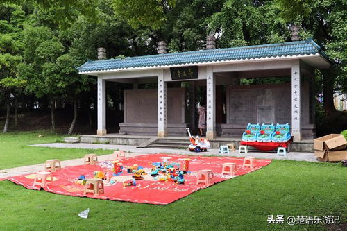 探秘寧波濱江公園,觀林叢草木精華,飽覽荷花池塘美景