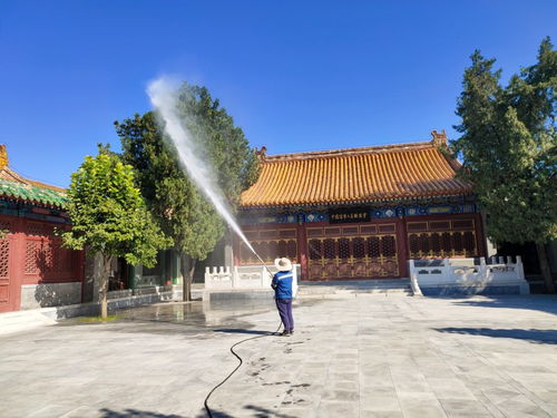 2021歡迎訪問 園林噴藥車出租針對(duì)各種樹木 實(shí)業(yè)集團(tuán)