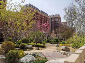 還能在河西中心買到高品質的 嗎