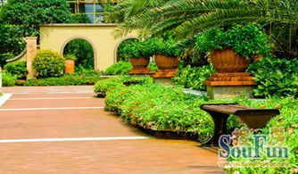 較高優(yōu)惠達6萬