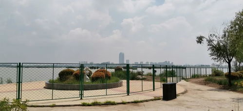 閱海公園 圍湖圈景 最新進展 鐵絲網圍墻立即全部拆除還湖于民