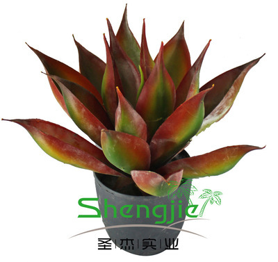 【仿真旱蓮 仿真植物 園林景觀設(shè)計(jì) 植物廠家 義烏仿真植物 綠植】價(jià)格,廠家,圖片,人造仿真植物,廣州市圣杰園林景觀設(shè)計(jì)-