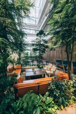 安泰實業官宣--上水咖啡品牌正式成立!